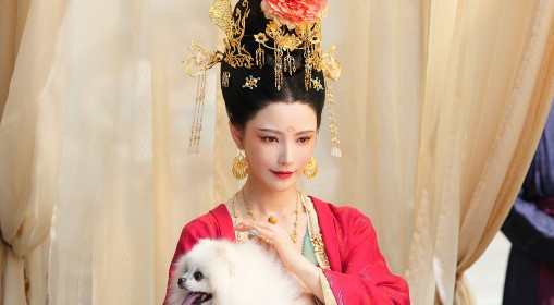 《女王的游戏：盛世天下》激活码购买方法