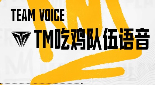 《绝地求生》TM吃鸡队伍语音