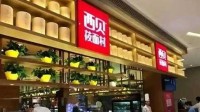西贝创始人贾国龙：罗永浩当面说挺好 背后却说恶心