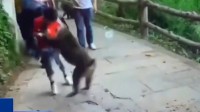 网传