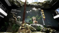 《黑神话》又有新的艺术展了！但这次可能不太一样