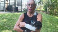 IP正确：佛罗里达大姐徒手殴打鳄鱼救下爱犬