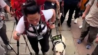 两名盲人带导盲犬爬泰山引争议：网友质疑行为乃虐狗
