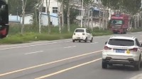 老头乐路上疯狂蛇形逆行 吓得周围车辆纷纷闪躲