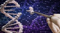 刷新亚洲纪录！西安一猪肾移植者已存活超200天