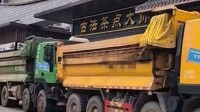 广东人防台风太硬核：大卡车堵店 谢霆锋“护门”