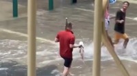 台风“桦加沙”过境海水倒灌 澳门市民纷纷上街捉鱼