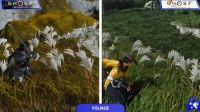 《羊蹄山》沉浸感被网友狂赞：环境破坏细节大升级！