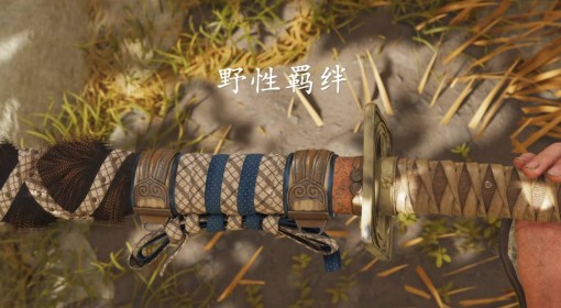 《羊蹄山之魂》覆水难收支线任务攻略
