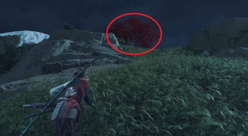 《羊蹄山之魂》武藏之发奋护身符获取教程