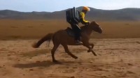 游客大草原点外卖 骑手小哥飞马追车送达:这是真骑手