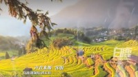 浙江一景区设透明玻璃厕所 景区回应：单向玻璃