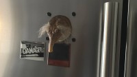 《黑神话》杨奇晒黄眉冰箱贴！有玩家称猎奇 感到害怕