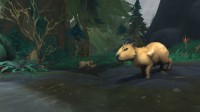 《WOW》将取消宠物对战系统:或为规避老任专利风险