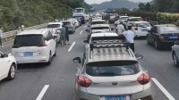 返程高速上的车尾挂满鸡鸭大鹅 家人的爱塞满后备箱