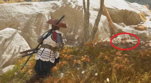 《羊蹄山之魂》戴普凯里获取方法