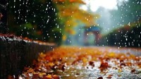 北方秋雨连绵添湿冷 南方高温盘踞热意不减