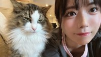 写真偶像东云海日常美照:美人和猫咪你想亲近哪个?