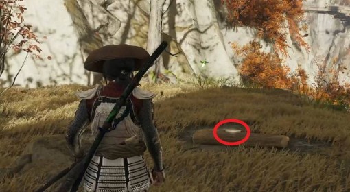 《羊蹄山之魂》奇西波获取方法