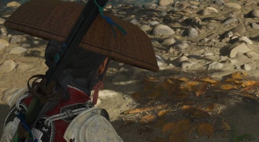 《羊蹄山之魂》伊库帕苏伊获取方法