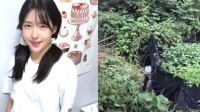 韩国女主播被榜一大哥杀害 冒充富豪负债打赏