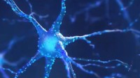 美国42岁知名精神病学家自杀 研究严重抑郁症治疗