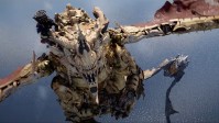韩国大作《红色沙漠》超帅BOSS战：飞天机械巨龙！