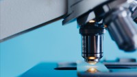 科学家研发新型人造肌肉：能举起4000倍自重