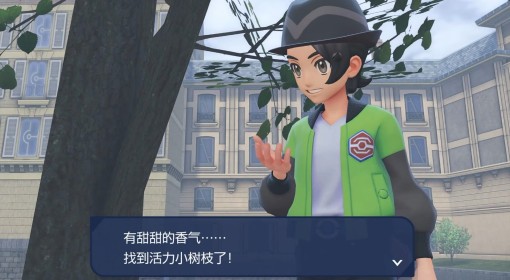 《宝可梦传说：Z-A》活力小树枝位置分享