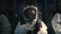 《COD22》新真人预告引争议！怎么还有一只猴子？