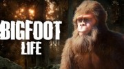 《Bigfoot Life》官方中文版下载