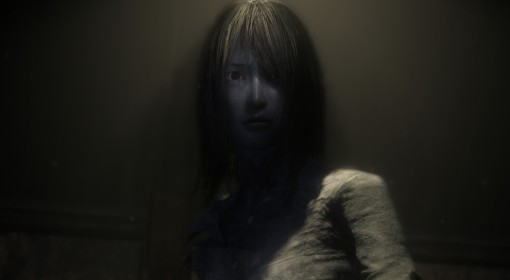 《零：红蝶 重制版》价格说明