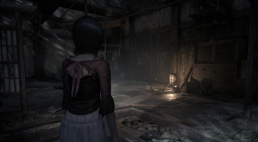 《零：红蝶 重制版》豪华版价格一览