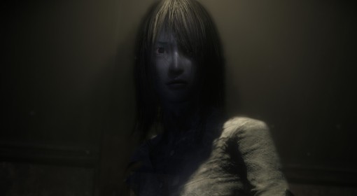 《零：红蝶 重制版》游戏类型介绍