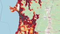 日本发布AI预测地图 评估东京札幌秋田等19地区“熊出没”概率