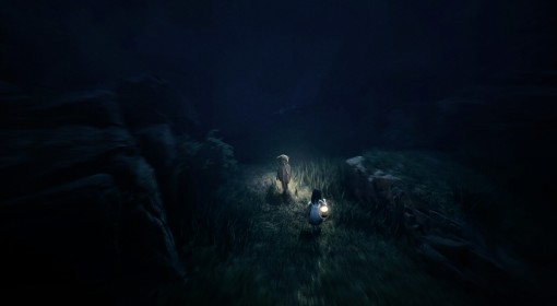 《REANIMAL》版本区别一览 REANIMAL各版本有什么区别