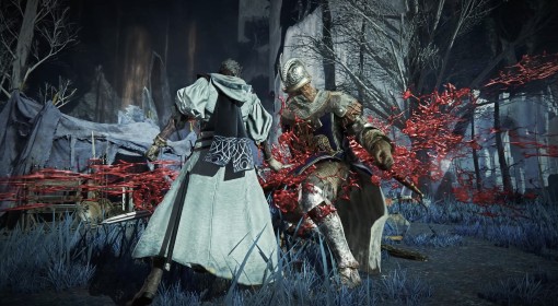 《法环：黑夜君临》DLC见弃空洞者角色图鉴