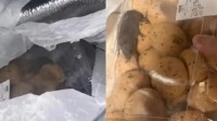 山姆麻薯盒内现活老鼠 当事人：打开那一刻吓蒙了 客服：正在核实